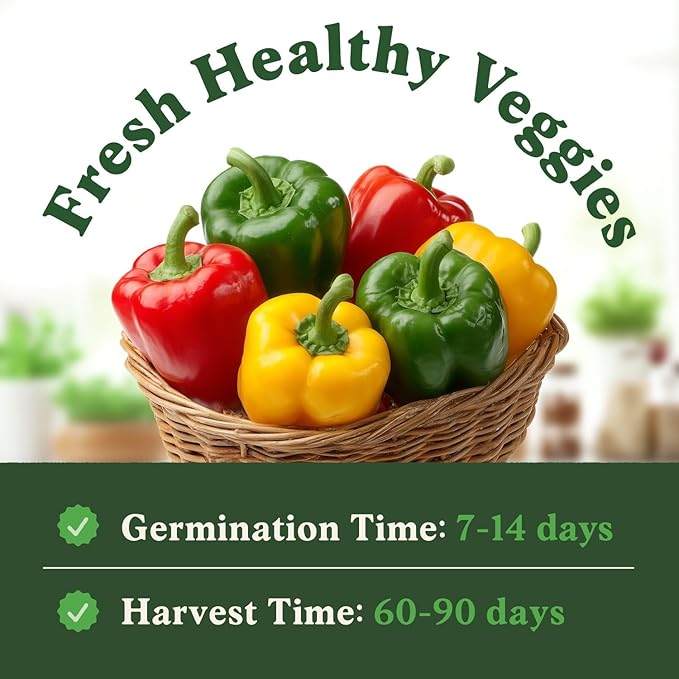 Seedboy Organic Bell Pepper Seeds for Planting Indoor and Outdoor, Non-GMO and USDA Certified Vegetable Seed Packet for Hydroponic Garden Indoor or Planting Outdoors (Bell Peppers)