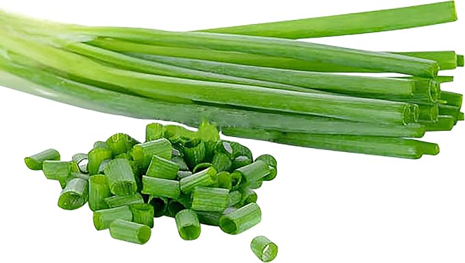 Green Onion Scallion Seeds Scarlet Bandito - Produces a Beautiful Scarlet red hue with flecks of White, Making Any Salad or Dish pop!