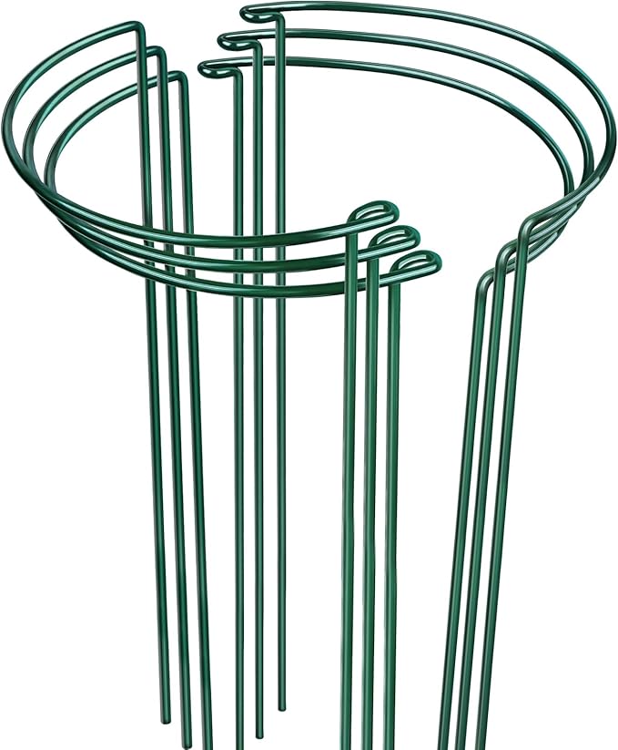 LEOBRO 24 Inch Plant Support Stakes, 6PCS Plant Stakes, Peony Cages and Supports, Garden Stakes, Plant Supports for Outdoor Plants Indoor Plants, Monstera Tomato Hydrangea Support Cage, 10" W x 24" H