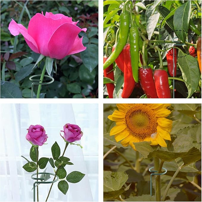 HiGift 10 Pack 36 Inch Plant Support Stake for Tall Plant, Garden Single Stem Flower Support Stake Indoor Plant Cage Support Ring for Peony, Orchid, Lily, Rose