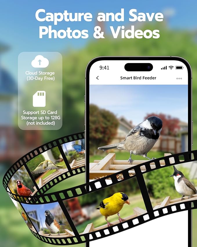 Bird Feeder with Camera, Smart Wild Bird Feeder for Outdoors with AI Identify, Solar Bird Feeder Watching Camera Auto Capture Birds & Real-time Notifications, Gifts for Birdlover (Arch)