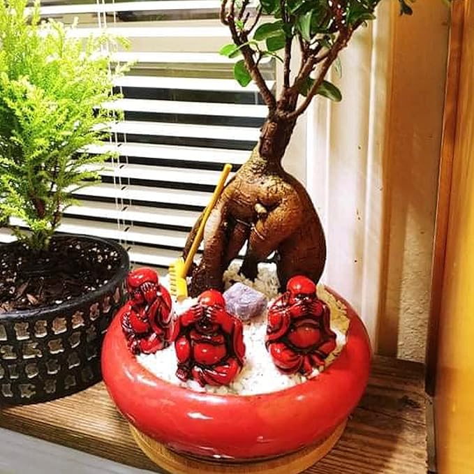 ARTKETTY Succulent Pots - 2 PCS Large Bonsai Pots with Drainage Tray, 7.3 Inch Shallow Planters for Indoor Plants Ceramic Cactus Plant Container Bowl for Home Office Desk