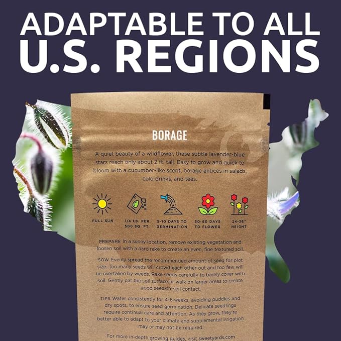 Borage Seeds – Bulk Quarter Pound Bag – Over 5,000 Open Pollinated Non-GMO Wildflower Seeds – Borago officianalis