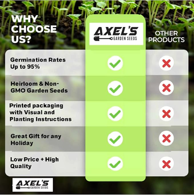 Cinnamon Basil Seeds for Planting Heirloom Non GMO Packets 750 Seeds – Plant & Grow Cinnamon Basil Indoor Hydroponics or Outdoor Gardening, Great Gardening Gift – 5 Packets, Purple