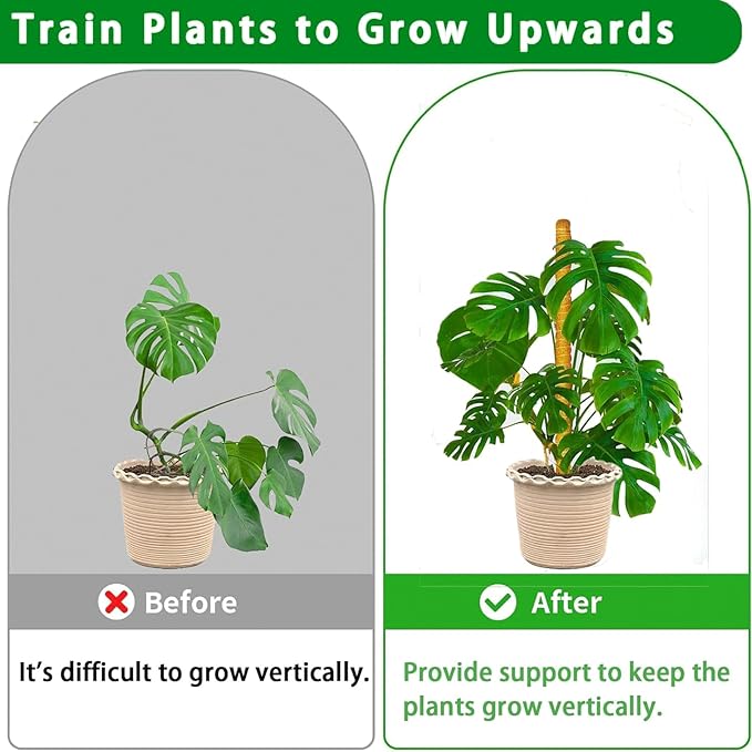 Moss Pole, 2Pack 21 Inch Plant Support Stakes for Indoor Plants, Monstera Plant Support Stakes, 37 Inch Tall Coir Plant Pole Sticks for Potted Plants, Pothos, Philodendron