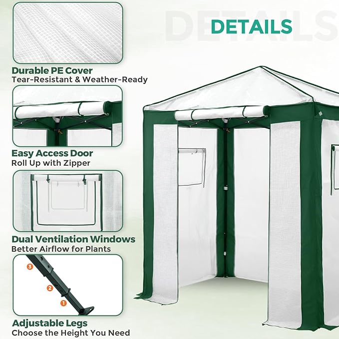 EAGLE PEAK 6x4 Portable Walk in Greenhouse with Polyester Reinforced Corners, Instant Pop up Indoor Outdoor Gardening Green House, Roll Up Zipper Entry Door and Mesh Windows, Green/White