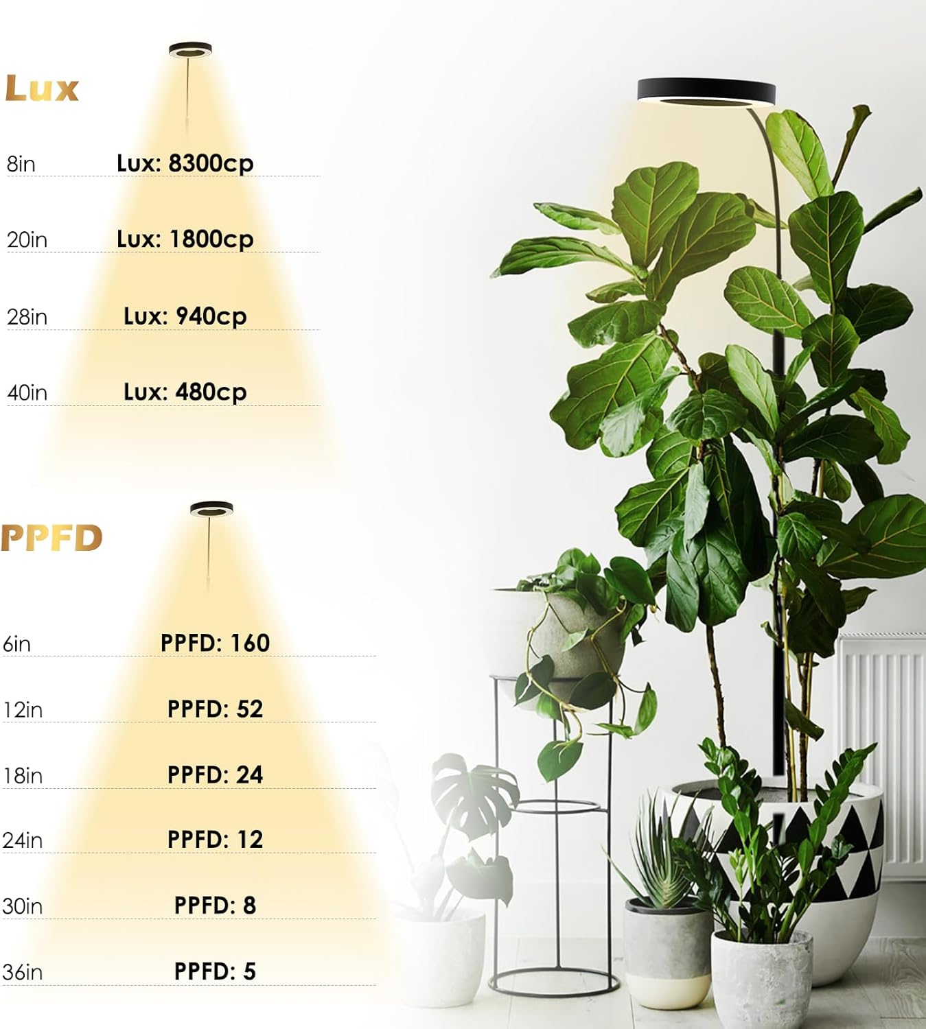 GLOWRIUM Grow Lights for Indoor Plants, 20W Full Spectrum LED Grow Light Floor Lamp with Stand Adjustable Height and Angle, Black Plant Light with 3/9/12H Grow Light Timer