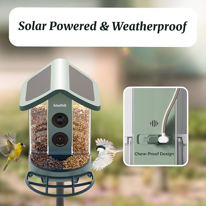 Beako™ Smart Bird Feeder with 4K Camera 4.4W Solar Roof for Outdoors - Ultra HD Live Stream & Photos, 10,000+ Bird Species AI-Identified, Real-Time Motion Detection, Easy Setup, Refill & Clean