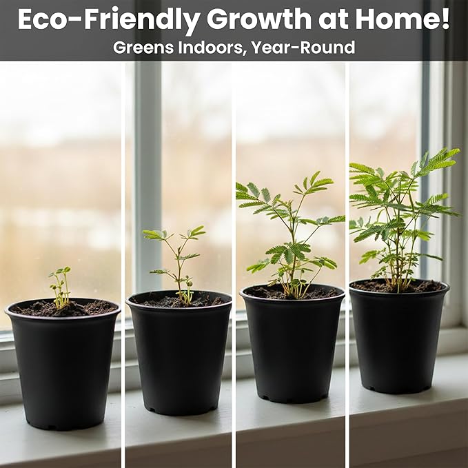 Zombie Plant Greenhouse Grow Kit - Touch It and Watch It Play Dead - Unique Grow Kit to Cultivate a Fun Indoor Plant That Revives in Minutes - Cool Plants and Great for Housewarming Gifts