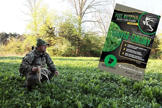 Pure Whitetail Clover/Chicory | Select Seed Blends | All Season Whitetail Deer & Turkey Perennial Food Plot Seed | Drought Resistant | Easiest Turkey & Deer Feeders | Plants 1 Acre | 5 lb Bag
