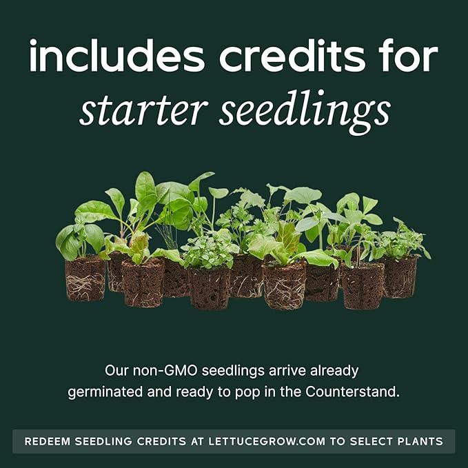 Counterstand Set – Vase Plant for Indoor Edible Garden Kit for Herbs & Lettuce – Small-Space Hydroponic System – Home Decor & Gifting – with Glow Lamp