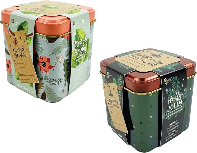 BUZZY Seeds Holiday Mini Spruce and Mint Square Tin Grow Kit 2-Pack, All-in-One Indoor DIY Gardening Gift, Stocking Stuffer, Party Favors Adults, Secret Santa, Present for Gardeners