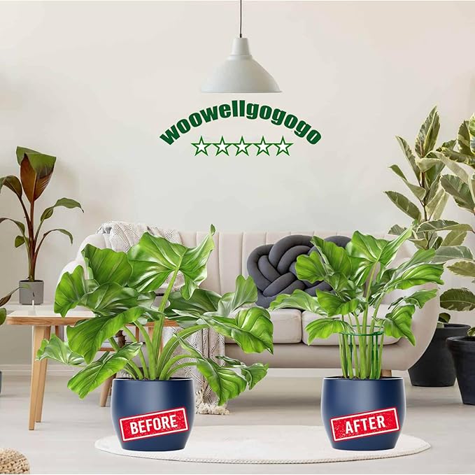 10-Pack Adjustable Height Snake Plant Support Stakes- Sturdy, Rust-Resistant Plant Supports for Indoor and Outdoor Potted Plants (16x10Inch) - Flower and Garden Peony Support