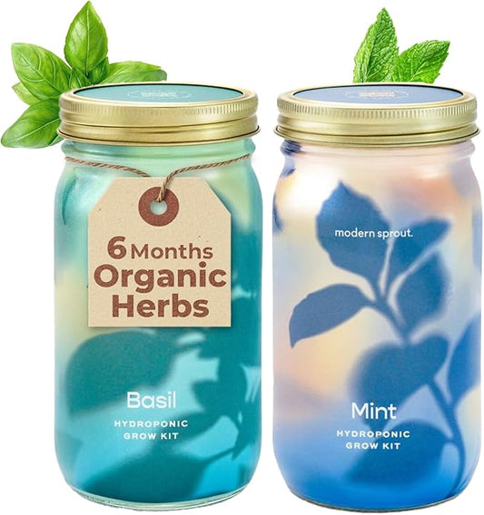 Modern Sprout Mason Garden Jar - Self-Watering Hydroponics Growing System Kit with Organic Herb Seeds - Jar Planter for Indoor Herb Garden - Seed Starter Kit - Home Decor & Gifting - Basil+Mint