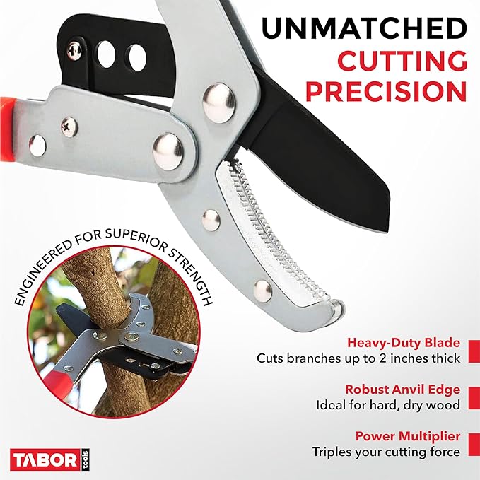 TABOR TOOLS GG22A Telescopic Extendable Anvil Lopper with Compound Action, 27-40 Inch Telescopic Tree Trimmer, Long Handled Branch Cutter with ⌀ 2 Inch Cut Capacity, Chops Thick Branches with Ease.