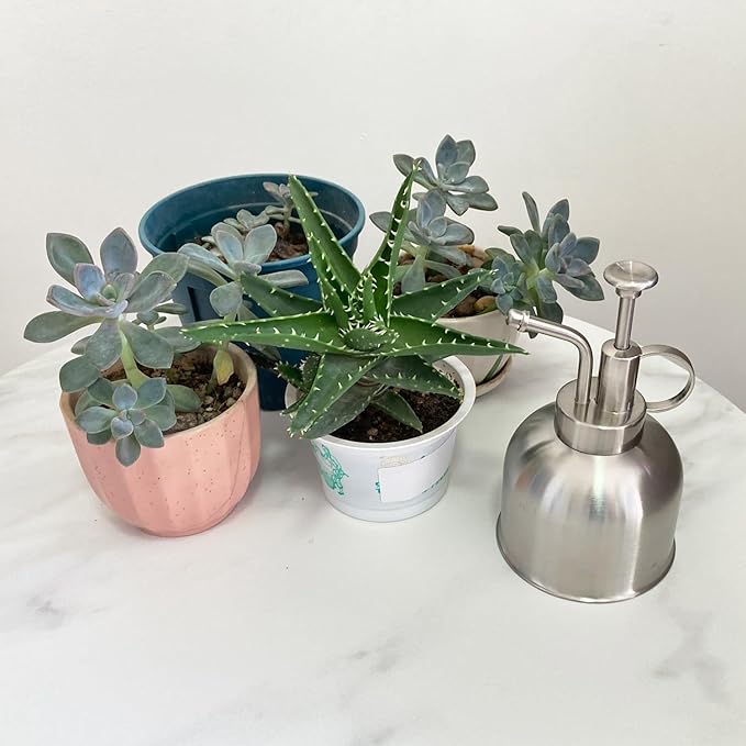 Stainless Steel Plant Sprayer, Small Watering Can for Indoor Potted Plants