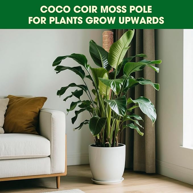 Moss Pole, 2 Pack 21 Inch Monstera Plant Support for Climbing Plants, 36 Inch Tall Stackable Plant Stakes for Indoor Plants Coco Coir Moss Pole Sticks Support for Potted Pothos, Philodendron