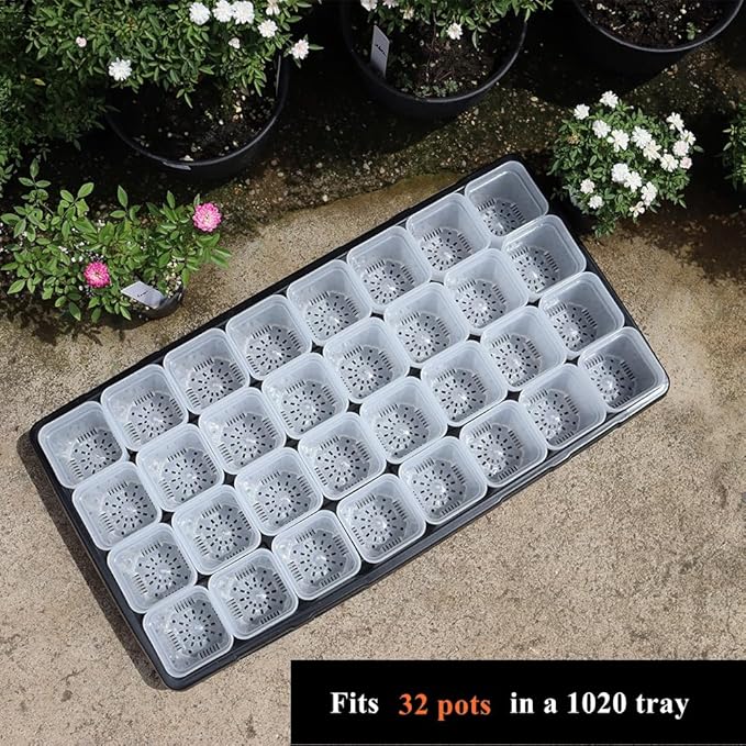 BangQiao 100 Pack 2.55 Inch Small Clear Plastic Square Nursery and Seedling Pot with Drain Hole for Germination, Cactus, Herb, Succulent