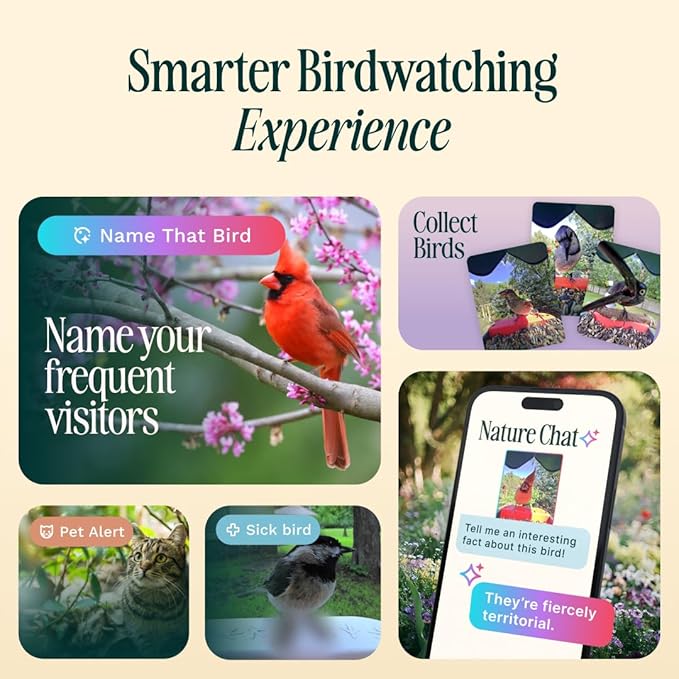 Birdbuddy PRO Solar Smart Bird Feeder with Camera - AI Bird Species Identification, 5MP Photos, 2K HD Video Live Stream Camera, Slow-Motion Video, 2.6in Focus - Blue Solar
