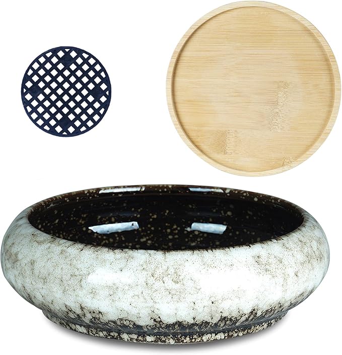 ARTKETTY Succulent Pots - 7.3 Inch Ceramic Bonsai Pot with Tray, Large Succulent Planters with Drainage, Shallow Planter for Indoor Cactus Plants Decorative Flower Plant Container Bowl