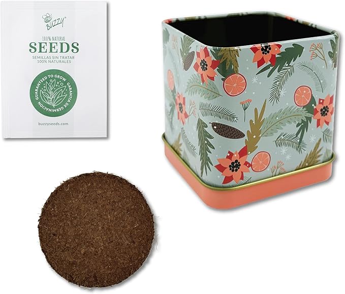 BUZZY Seeds Holiday Mint Square Tin 2-Pack Grow Kit Complete with Non-GMO Seeds and Growing Medium in Decorative Collectible Tins, Stocking Stuffer, Party Favors