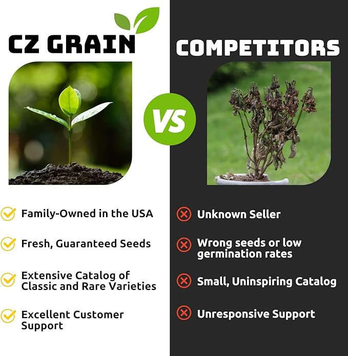 Willow Hybrid Trees for Privacy - Fast Growing Austree Willow Cuttings (100 Cuttings)