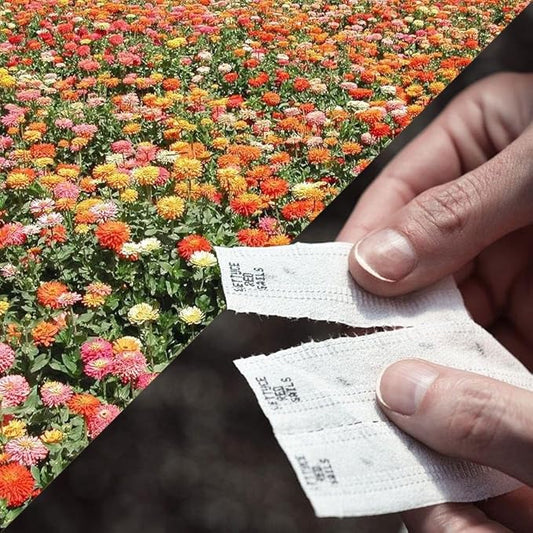 Park Seed Sow Effortless Collection Seed Tape – Giant Cactus Zinnia Mix, 15 Feet – Easy DIY Planting, Vibrant 4–5 Inch Blooms, Strong Stems for Cut Flowers, Quick Germination, No Thinning Required