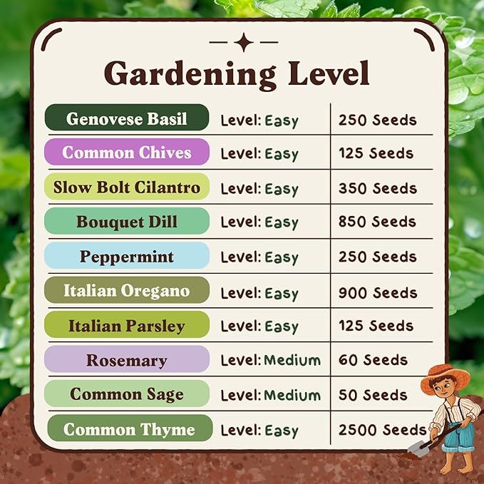 Seedboy Organic Non GMO 10 Herb Variety Pack: Basil, Cilantro Mint Oregano Parsley Thyme Chives Dill Sage Rosemary for Planting Indoor and Outdoor, 5460 USDA Certified Seeds (10 Herb Variety Pack)