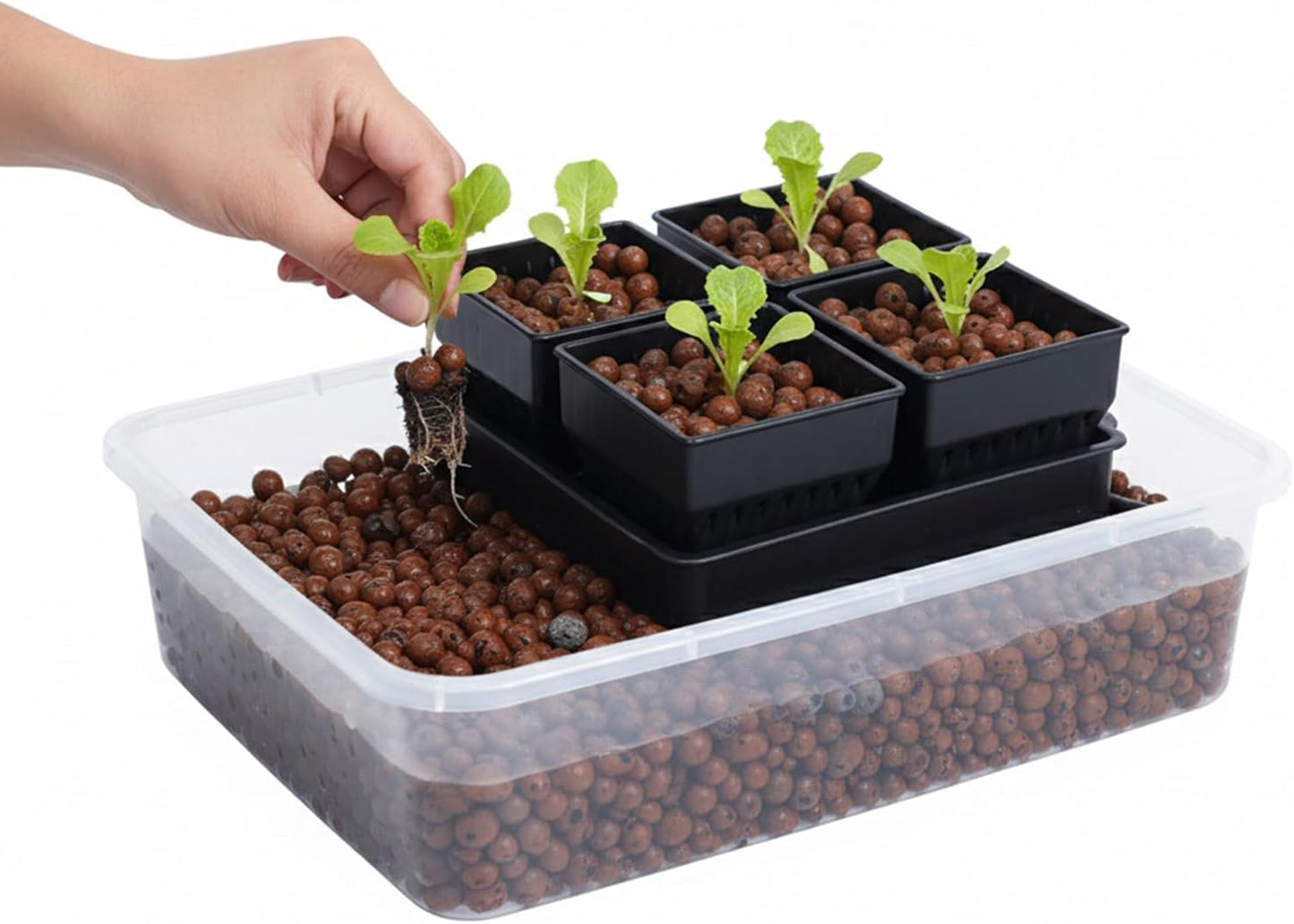 Seed Starter Pots with Tray, 8 Cell Reusable Square Nursery Pots for Seedlings with Drainage Holes, Indoor Outdoor Plastic Gardening Containers for Herbs, Flowers & Vegetables (Black)