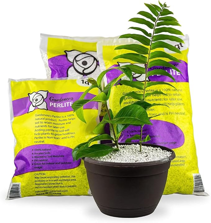 Gardenera Organic Perlite - Medium/Fine Grade (4 Quart Bag) Horticultural Soil Amendment for Indoor & Outdoor Container Plants for Drainage Management and Enhanced Growth