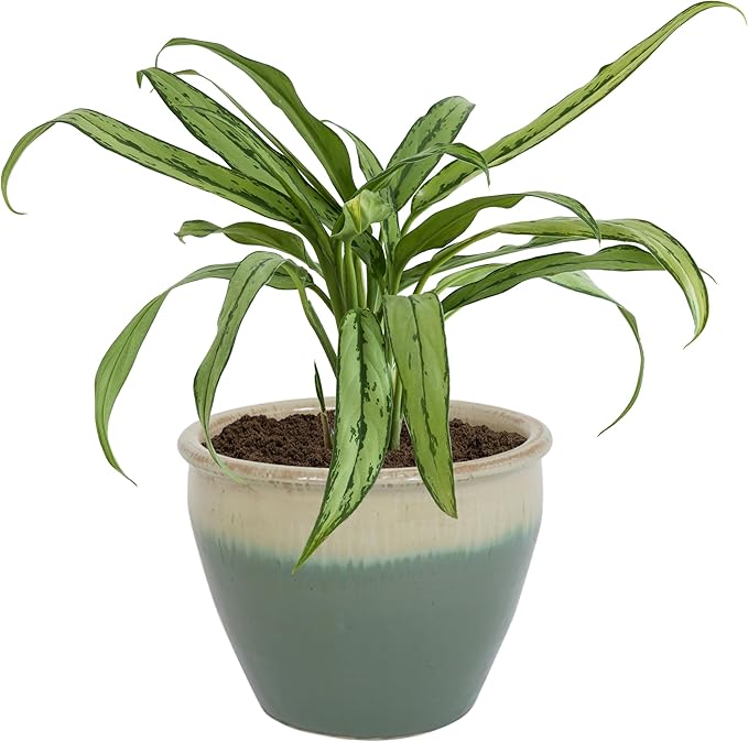 Sunnydaze Large Ceramic Plant Pot - Round Outdoor Glazed Ceramic Planter Pot with Drainage - Chalet - Seafoam - 14.5"