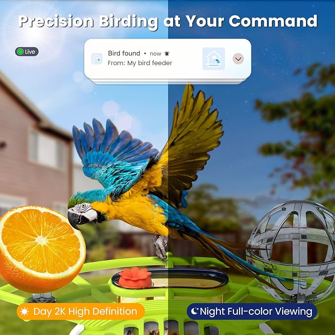 Smart Bird Feeder with Camera, AI Identify Birds Species Solar Powered, 2K HD Video Bird House with Camera, Instant Arrival Alerts, Waterproof Squirrel Proof, Gift for BirdLovers, 2.4GHz WiFi, Green