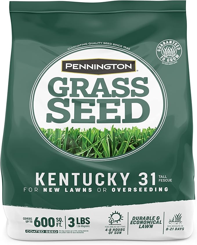 Pennington Kentucky 31 Tall Fescue Penkoted Grass Seed 3 lb