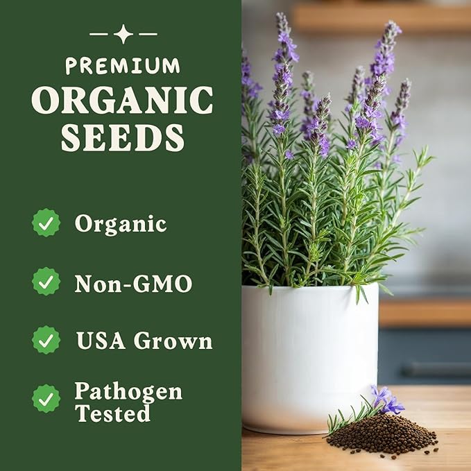 Seedboy Organic Rosemary Seeds for Planting Indoor and Outdoor, Non-GMO and USDA Certified Herb Seed Packet for Hydroponic Garden Indoor or Planting Outdoors (Rosemary)