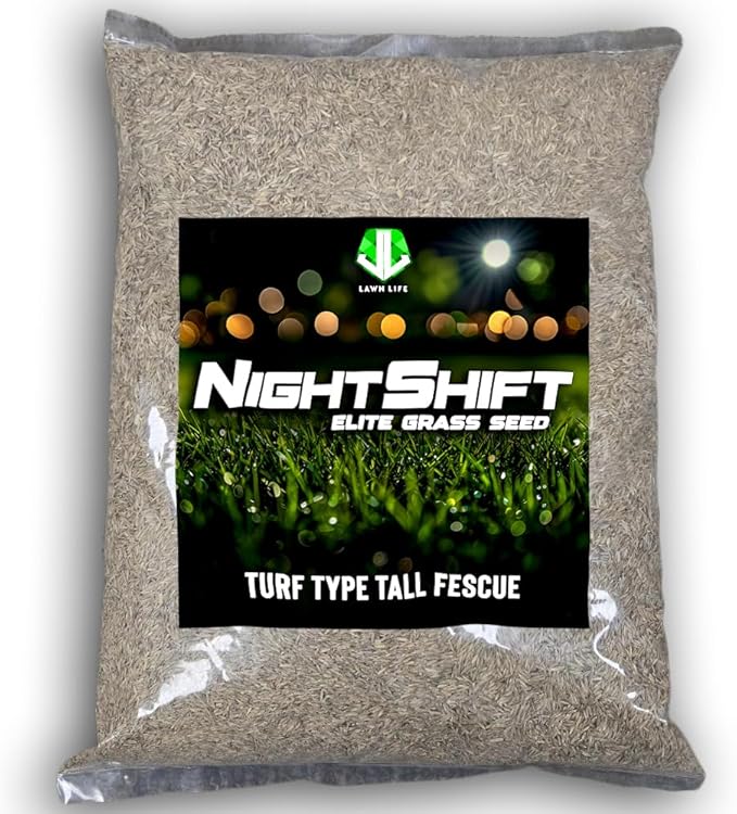 NightShift (Formerly Blackout) Turf Type Tall Fescue Grass Seed (10 lbs)