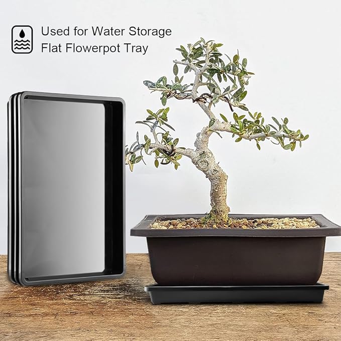 10 Pack Nursery Pots Trays (17"x11"x2"), Plastic Flat Seed Starter Trays, Durable Carrying Seedling Starter Tray, Reusable Tray for Planting and Collecting Drainage Water (Black)