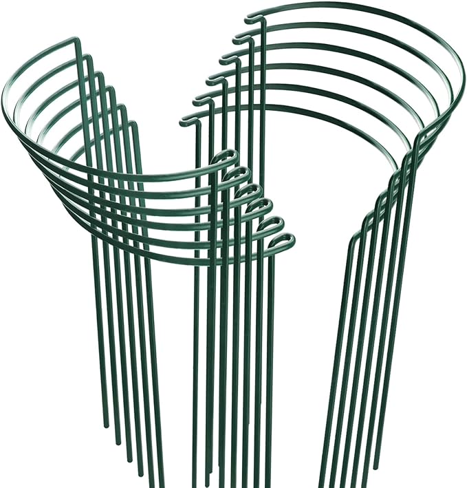 HiGift 12 Pack Plant Stakes for Indoor Plants, Metal Garden Peony Support Cages, Outdoor Plant Supports Ring Prop, Large Plant Stake for Hydrangea,Rose,Flower,Vine,Potted Plants (10" W x 15.8" H)