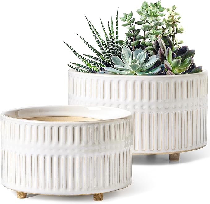 LE TAUCI Succulent Planters, 6.5+8 Inch Ceramic Indoor Plant Pot with Drainage Hole, Shallow Round Succulent Pots, Set of 2, Reactive Glaze White