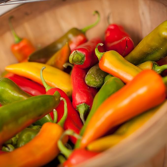 Back to The Roots 100% Organic Heirloom Seeds - Hot Pepper Medley Value Pack (280mg Total)