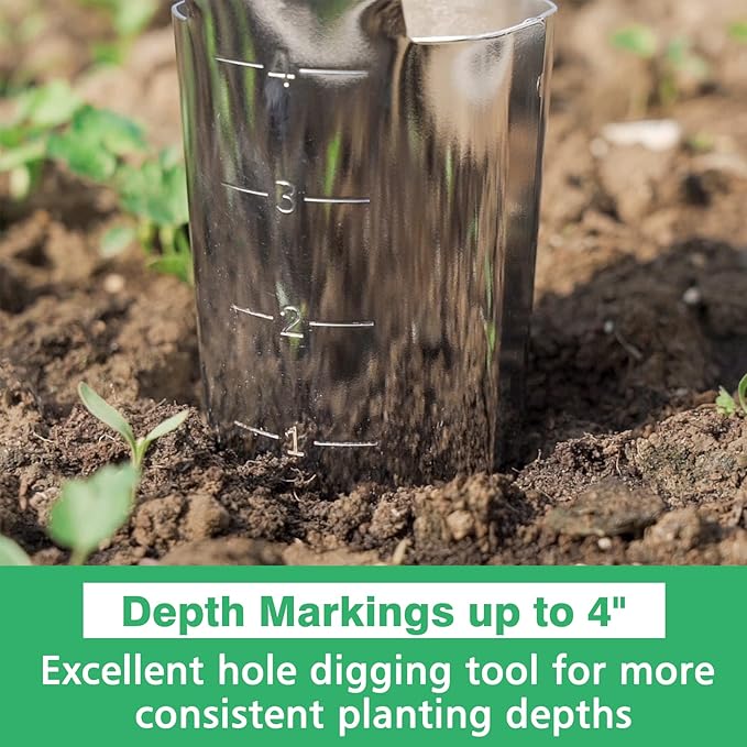 Berry&Bird Garden Bulb Planter with 4 Inches Depth Mark, Stainless Steel Gardening Bulb Transplanter Tool with Short Handle for Planting Flowers Tulips, Daffodils, Lily, Dahlias