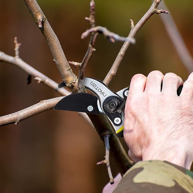 Astorn 8" Premium Bypass Pruning Shears for Gardening - Heavy Duty, Ultra Sharp Garden Shears w/Ergonomic Soft Grip Handle - Made with High-Grade Carbon Steel - Ideal for Cutting, Gardening & Trimming