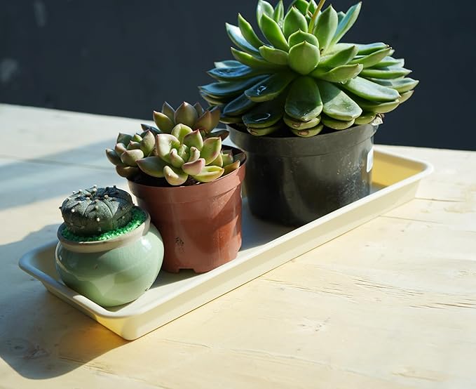 2 Pack Plastic Plant Tray Saucer Rectangular 30 inch, Indoor/Outdoor Plant Water Drip Tray for Flower Pot Planter, Windowsill (8 X 30'', Beige)