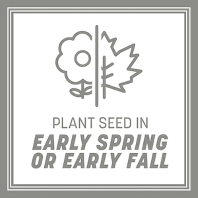 Pennington Contractors Grass Seed Mix Northern Mix 40 lb