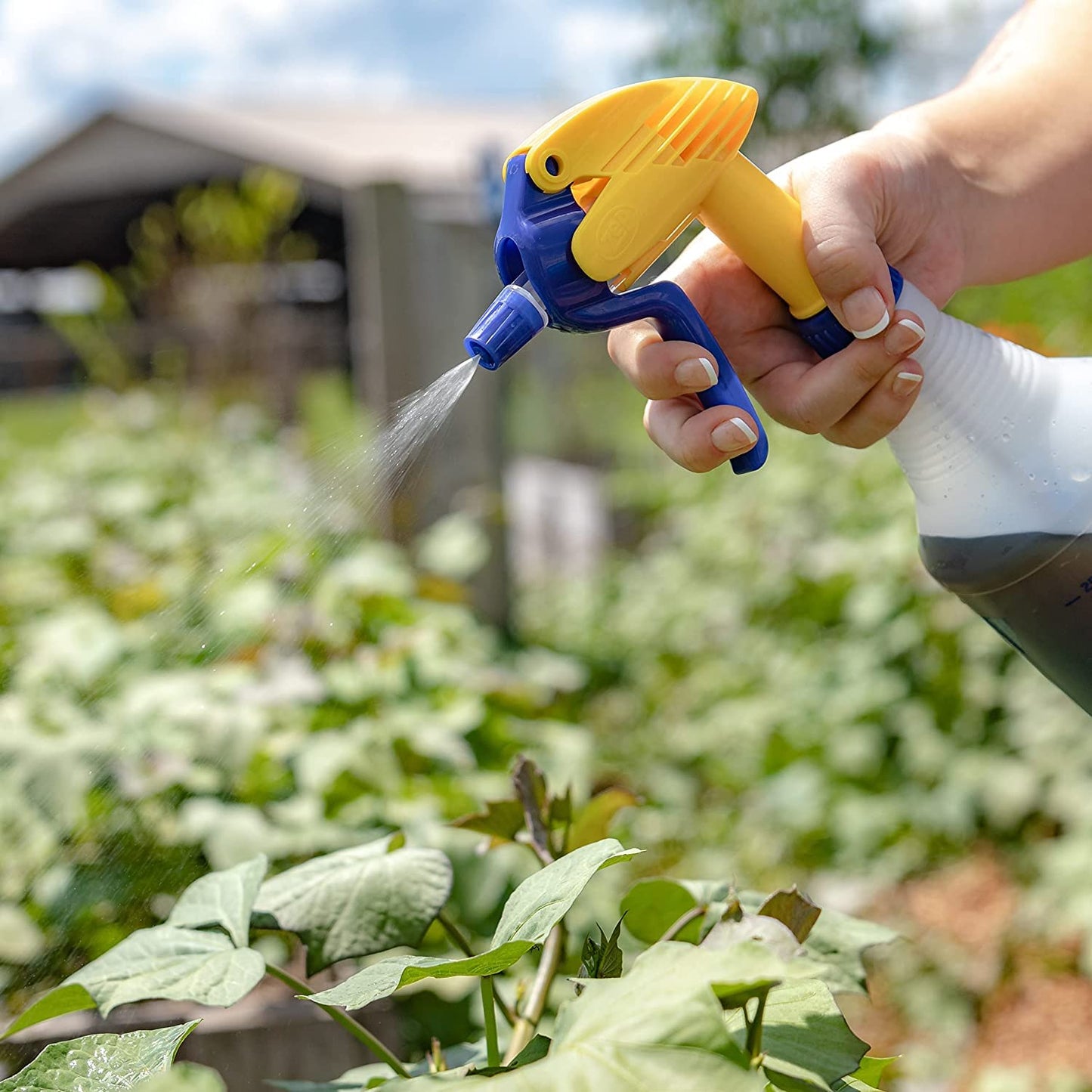 Microbe Life Hydroponics Premium Foliar Spray & Root Dip for Fruits & Vegetables, Use with Any Feeding Systems Including Hydroponics or Soil, for Sale in California and Missisippi, 2.5 Gallons