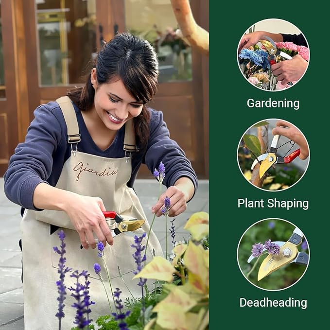 Gardeness Titanium Plating Japanese Pruning Shears, Professional Bypass Heavy Duty Garden Pruner Secateurs – Lightweight Easy Grip Branch Clippers Hand Pruners for Gardening, Trimming, Harvesting.