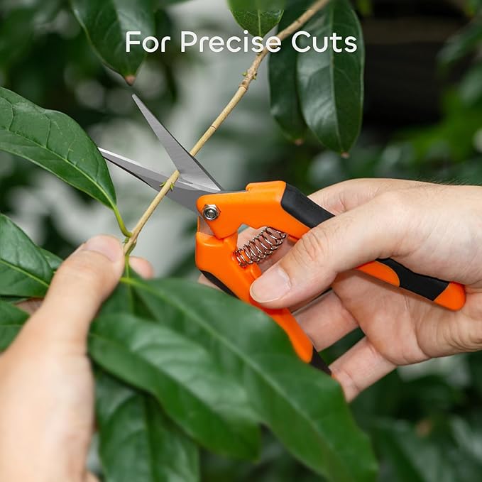 GROWNEER 6 Packs Pruning Shears Gardening Hand Pruning Snips with Straight Stainless Steel Precision Blades