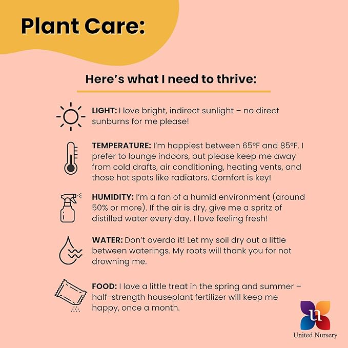 United Nursery Sansevieria Zeylanica Live Indoor Snake Plant 26-32 Shipping Size Shipped Fresh in 9.25 Grower Pot