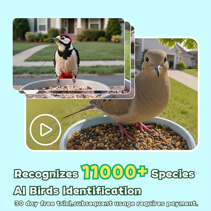 Smart Bird Feeder with Camera, 2.4GHz WiFi Watching Camera Bird Feeders for Outdoors Solar Powered, AI Identify 11,000 Birds Species, Instant Arrival Alerts, Auto Capture 2K HD Live Videos