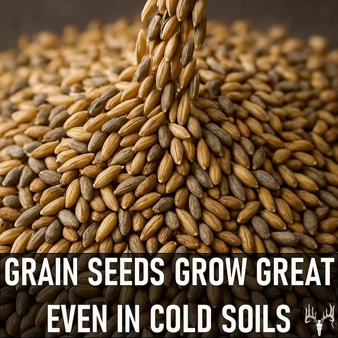 Crooked Bend Last Resort Blend, 12LB EcoPack, Winter Food Plot Seed for Deer, Cereal Grain Rye, Wheat, Barley, Triticale & Oat Seeds Grow Whitetail & Turkey Attractants & Cold Hardy Hunting Food Plots