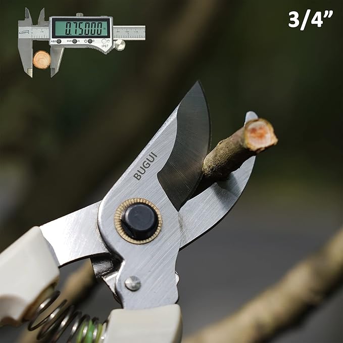 BUGUI Pruning Shears Garden Shears - Premium Alloy Steel Bypass Pruner, Precision-ground Blades, Heavy Duty Gardening Tools, 7" (H101)